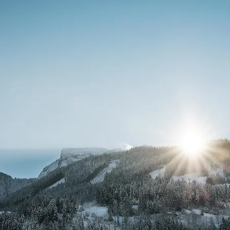 Martin Appartement *