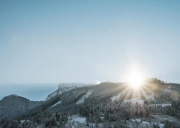 Martin アパート *